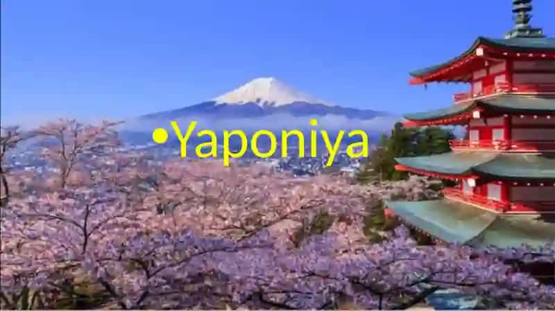 Turizm va mehmonxona xoʻjaligi menejmenti 2