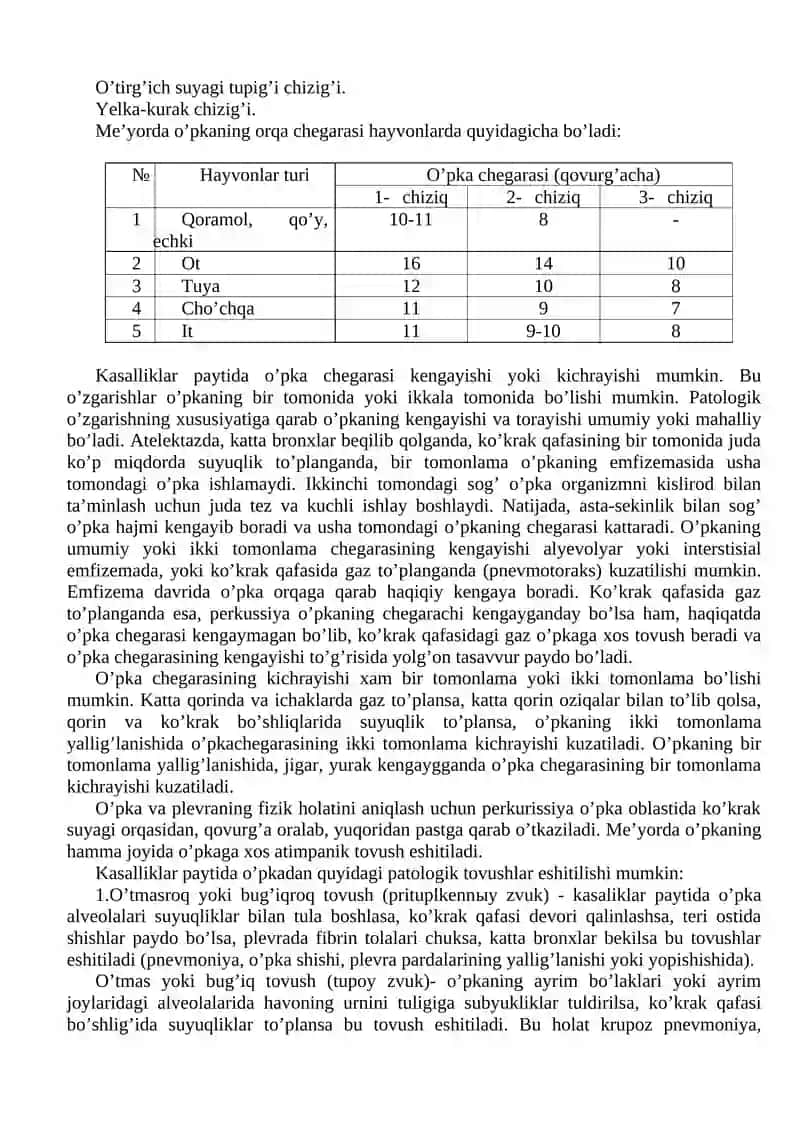 Ko’krak qafasini taqqillitish usuli bilan tekshirish 2