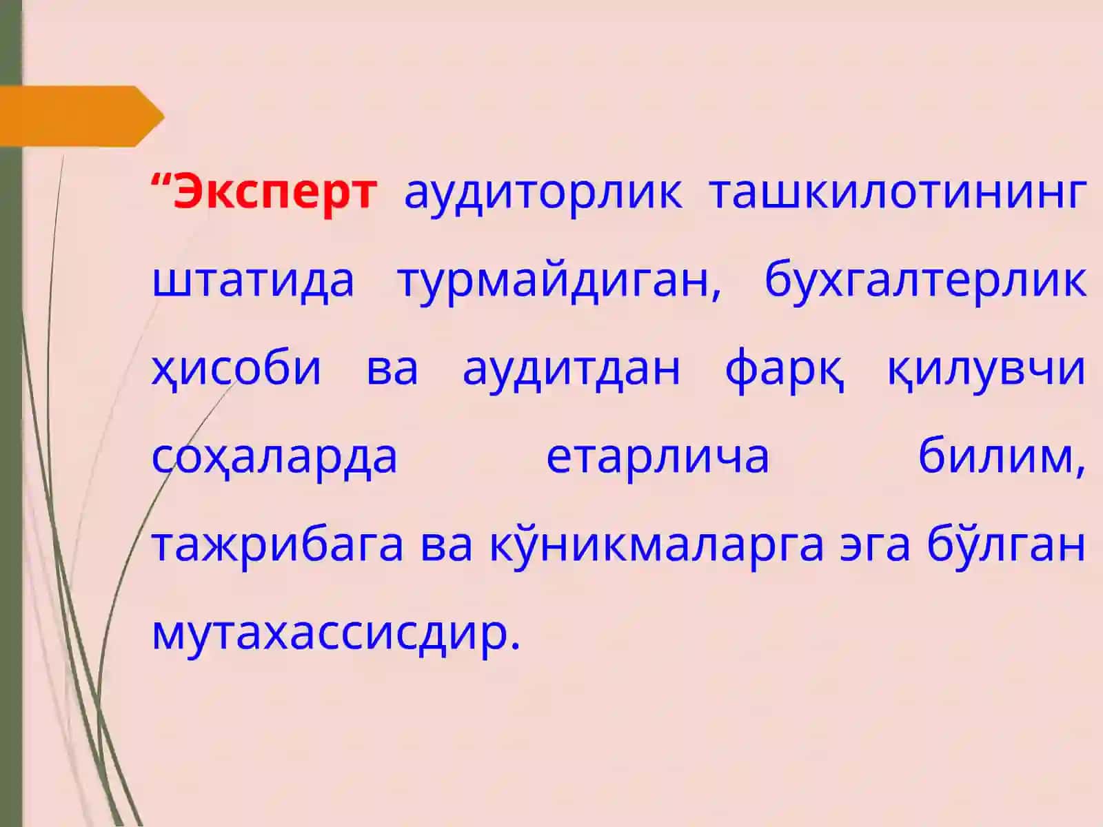Эксперт ишларидан ва бошқа аудиторлик ташкилоти маълумотларидан фойдаланиш 2