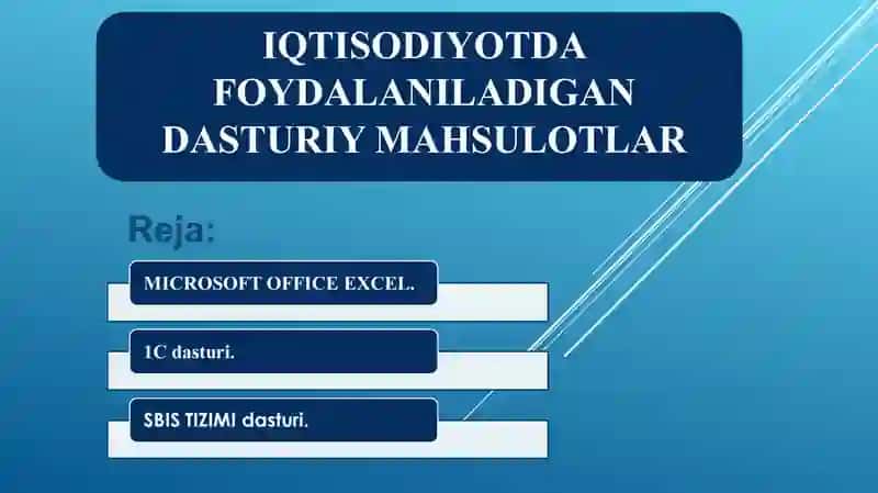 IQTISODIYOTDA FOYDALANILADIGAN DASTURIY MAHSULOTLAR 2