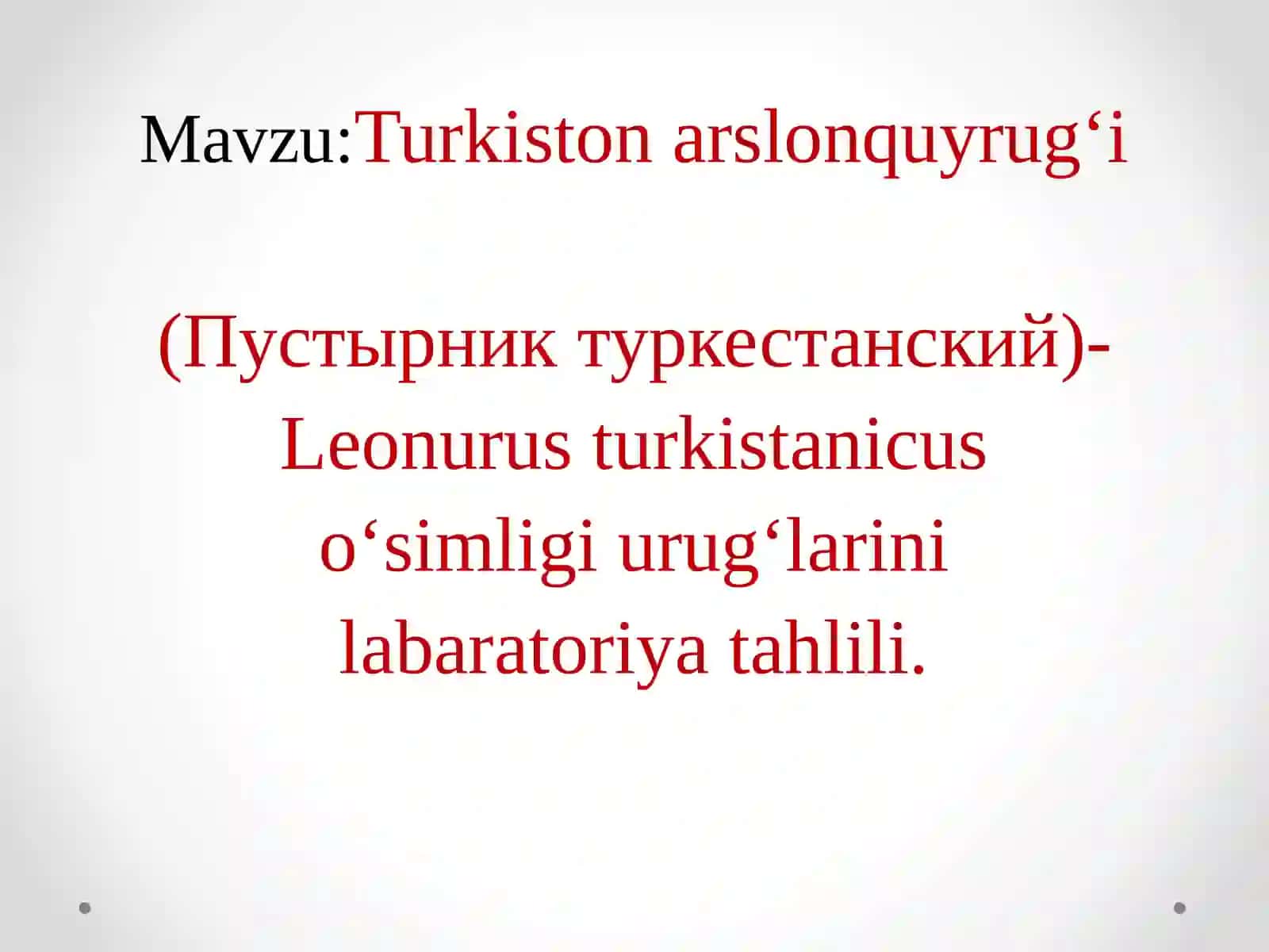 Turkiston arslonquyrugi(Пустырниктуркестанский)-Leonurus turkistanicus oʻsimligi urugʻlarini labaratoriya tahlili 2