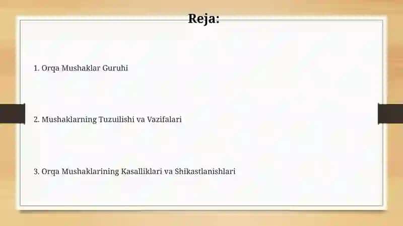 Orqa Mushaklar Guruhi 2