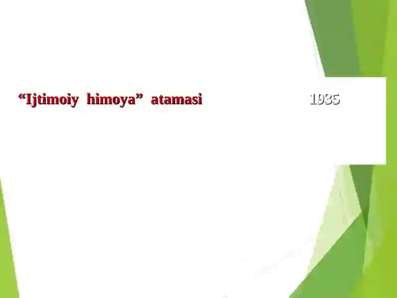 AHOLINI IJTIMOIY HIMOYALASH ASOSLARI 2