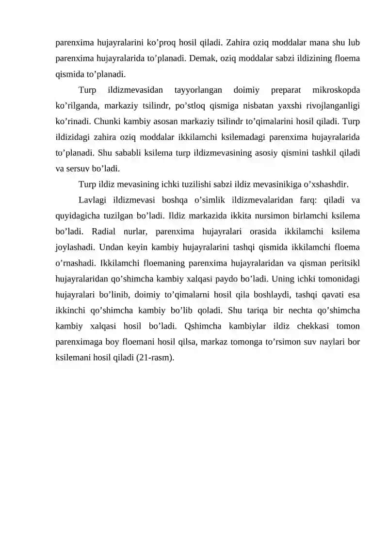 Ildiz metamorfozi 2