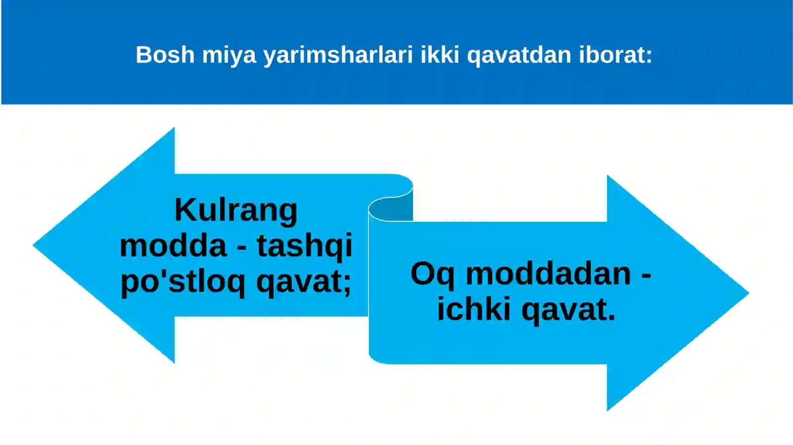 Boshmiya kattayarimsharlarining tuzilishi 2