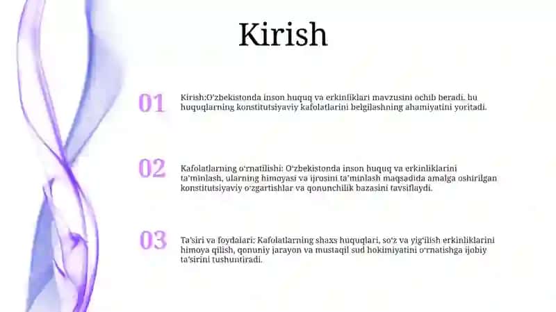 Inson Xuquqlari Va Erkinliklari Kafolatining Yaratilishi 2