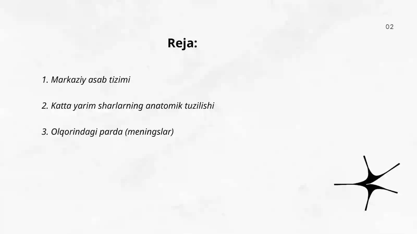 Markaziy asab tizimi 2