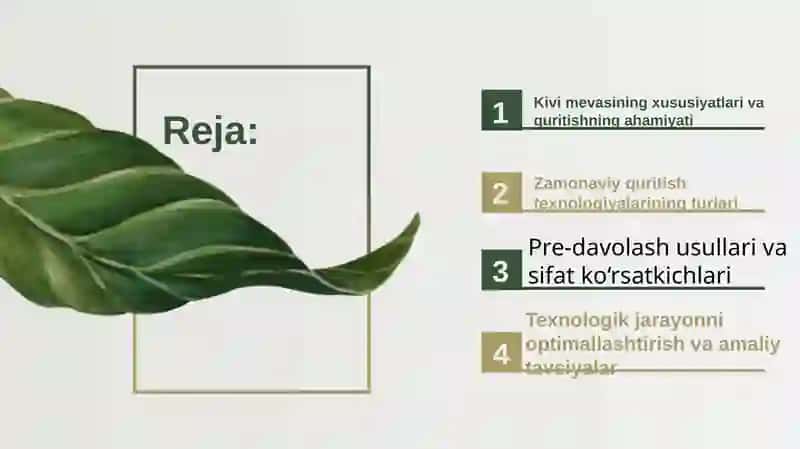 Kivini quritishning zamonaviy texnologiyalari 2