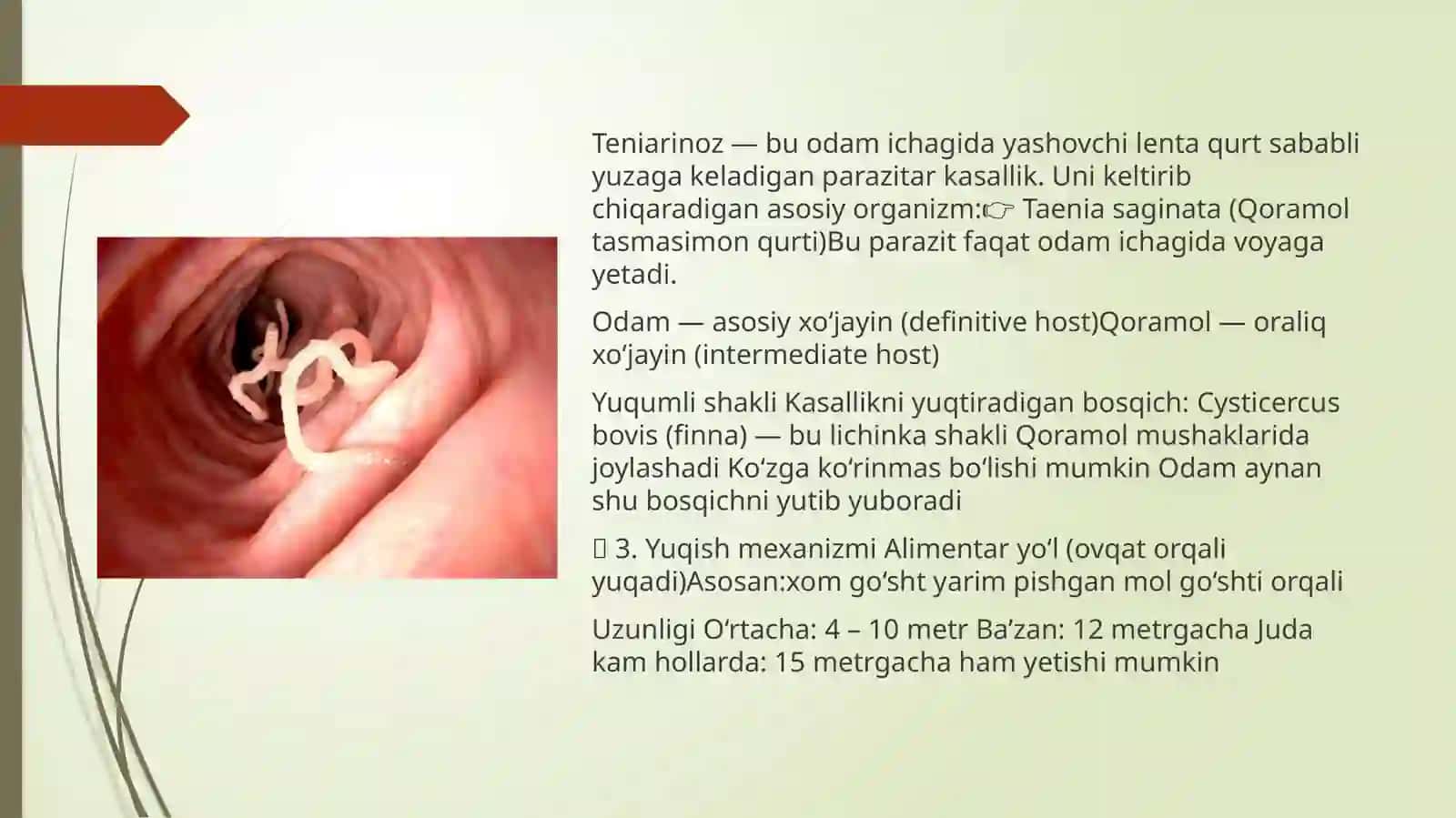 Teniarinoz 2
