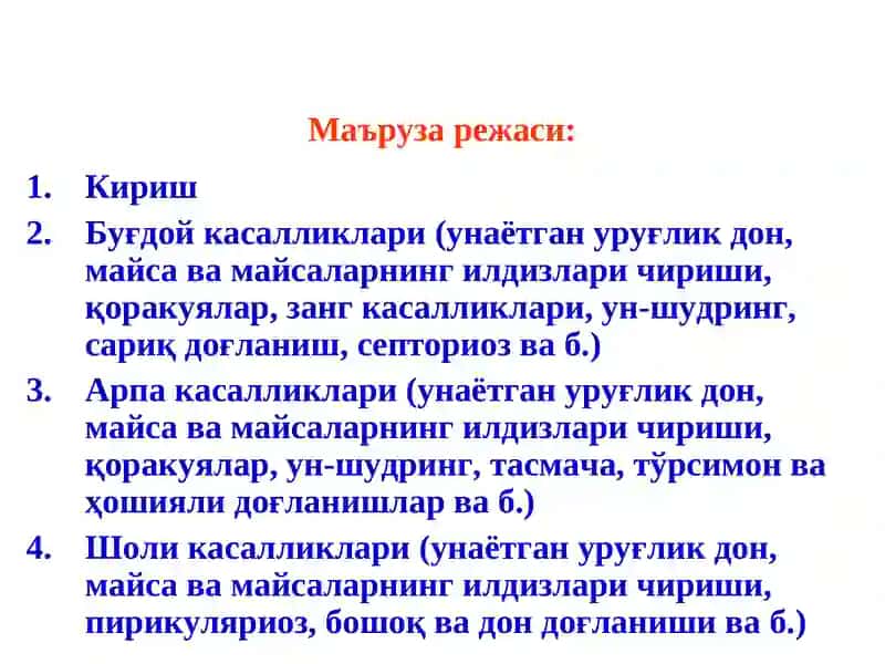 Ғалладонли экинлар касалликлари хамда уларга қарши кураш чоралари 2