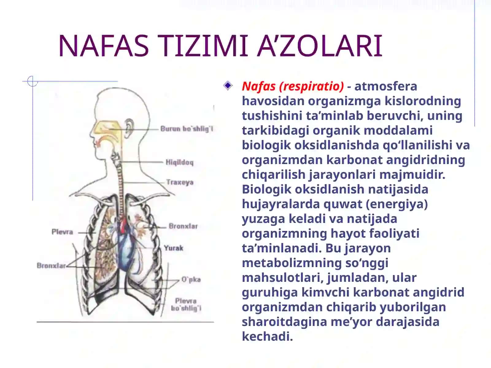Nafas tizimi kasalliklarida bemorni tekshirish usullari.So’rab-surishtirish. Ko’krak qafasi palpatsiyasi 2