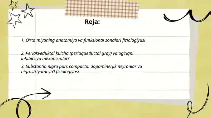 Oʻrta miya va oʻrta miya yadrolari fiziologiyasi 2