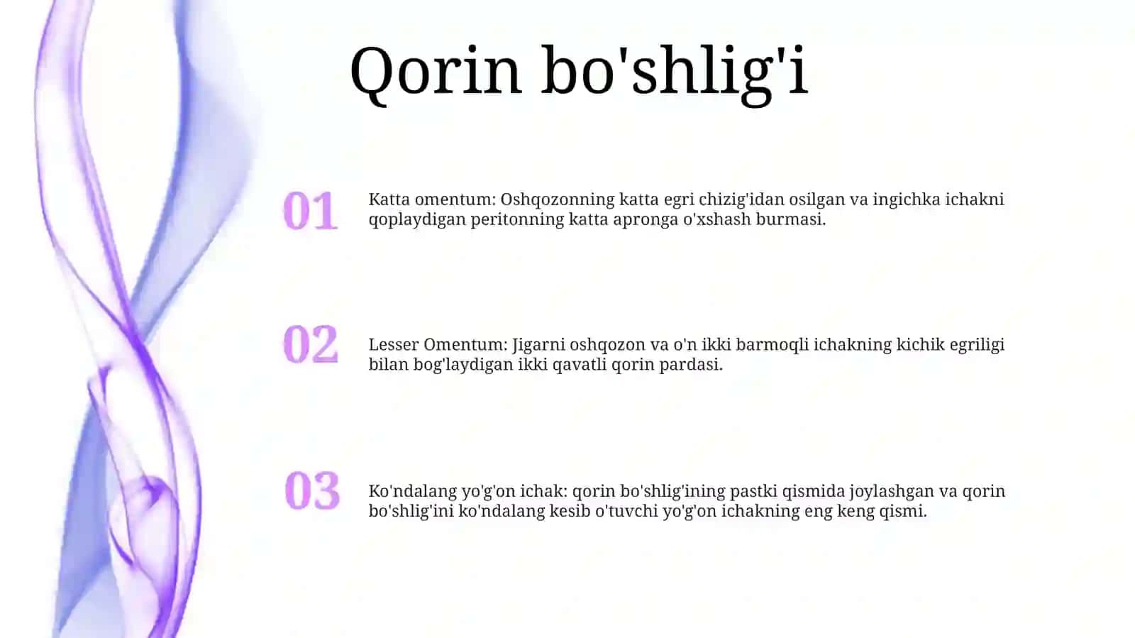 Qorin Parda BoʻShligʻIning Pastki Qavati A'Zolari Topografik Anatomiyasi 2