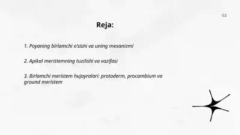 Poyaning birlamchi va ikkilamchi tuzilishi 2
