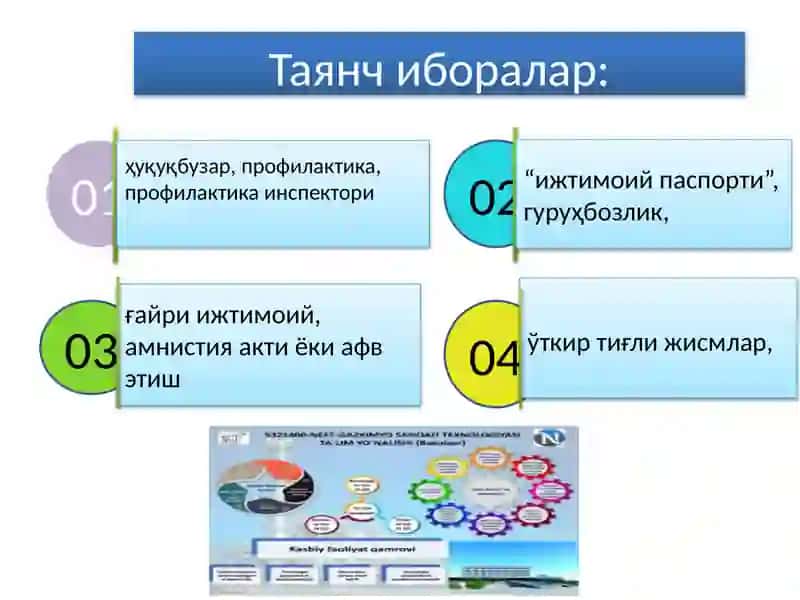 Таълим муассасаларида ижтимоий жиҳатдан ҳавфли аҳволда бўлган вояга етмаганлар билан якка тартибда шуғулланишни ташкил этиш ва назорат қилиш тартиби 2