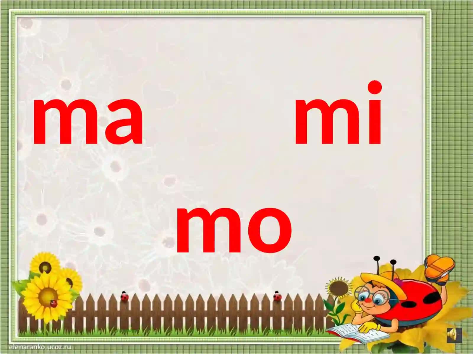 ma mimo 2