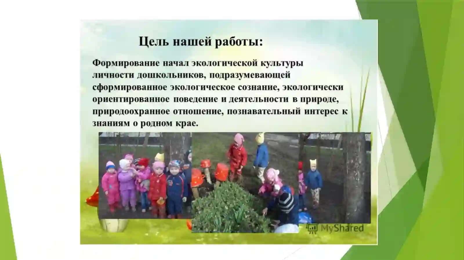 Формирование экологических представлений у детей дошкольного возраста 2