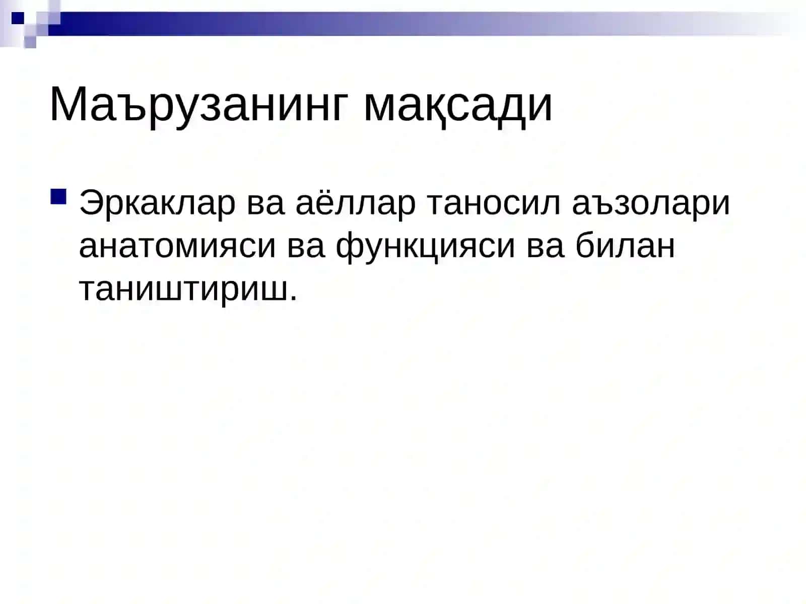 Эркаклар аъзоларининг анатомияси. Оралиқ 2
