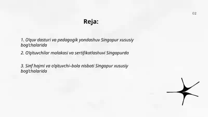 O’quv dasturi va pedagogik yondashuv Singapur xususiy bog’chalarida 2