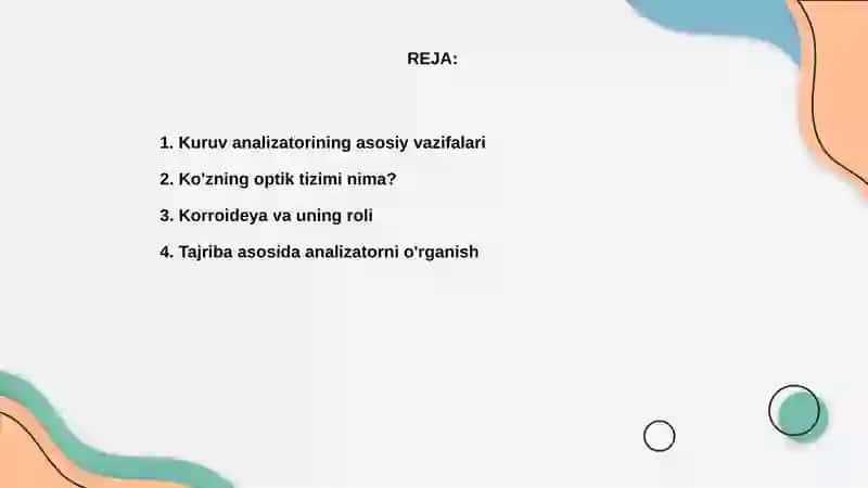 Kuruv analizatori 2