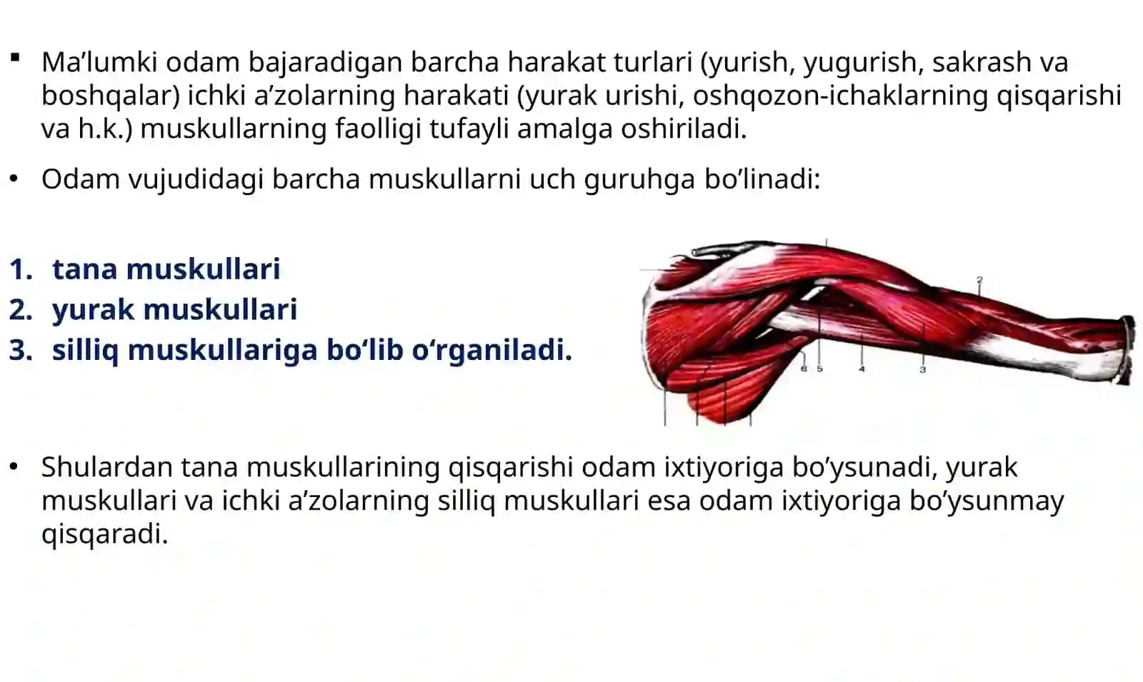 MUSKUL TIZIMINING YOSH XUSUSIYATLARI 2