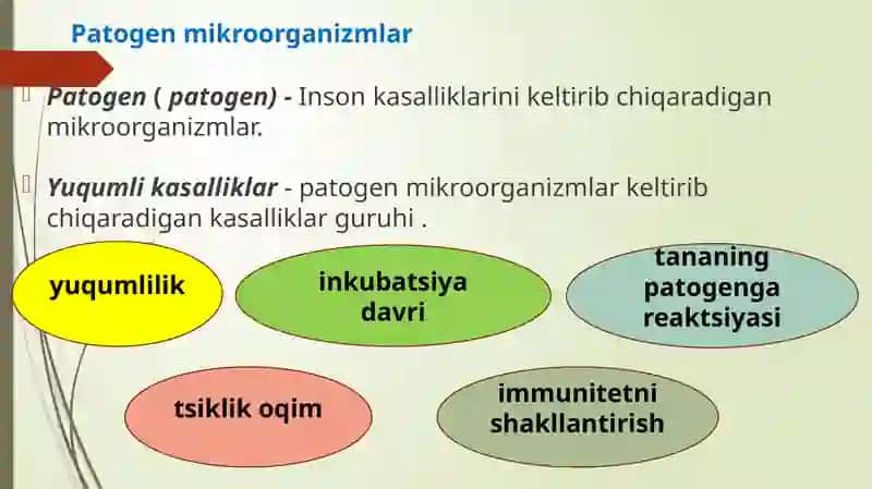 Patogenmikroorganizmlar 2
