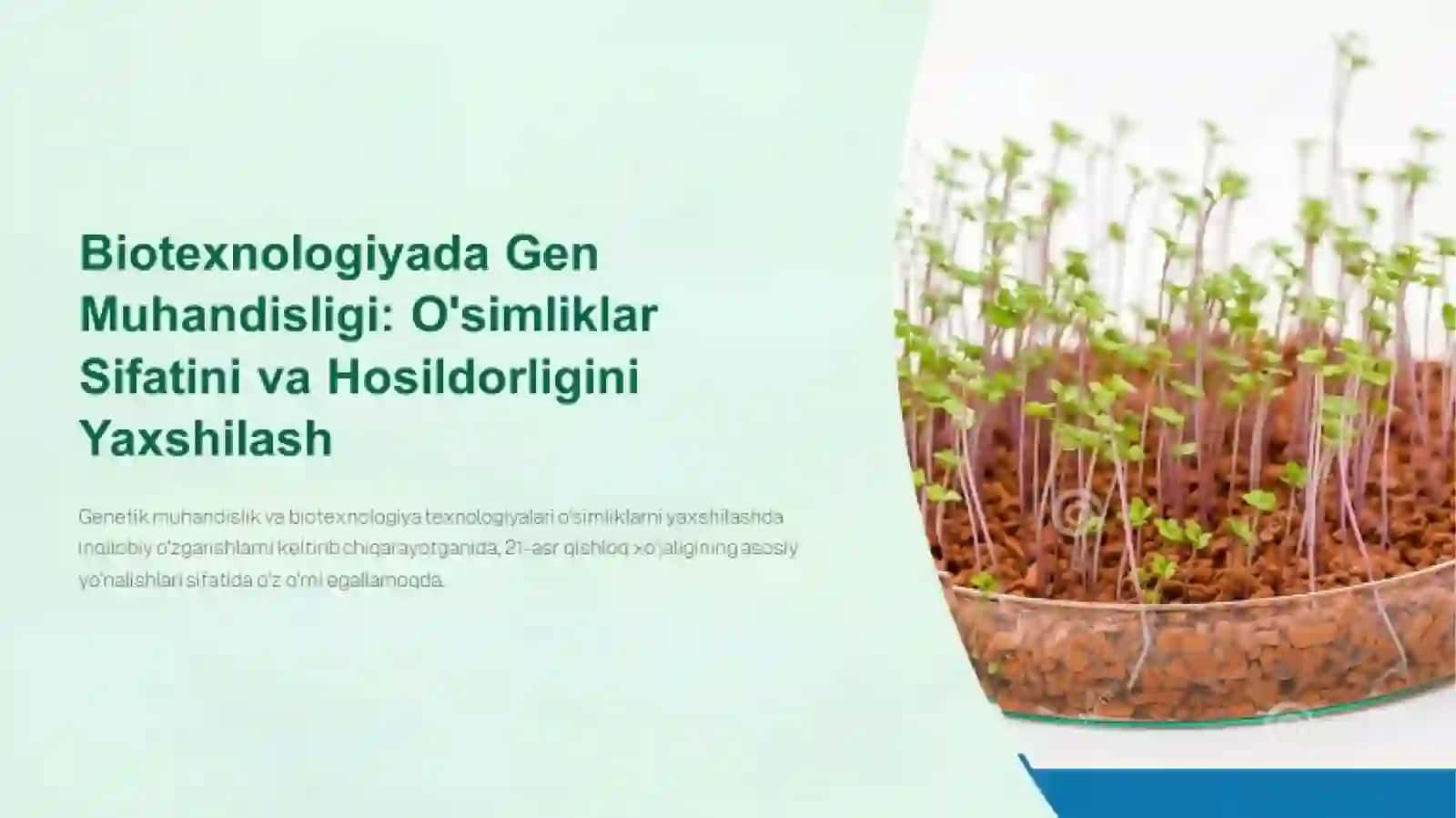 Biotexnologiyadagenmuhandisligiusullariyordamidao‘simliklarningsifatko‘rsatkichlariniyaxshilashvahosildorliginioshirish 2