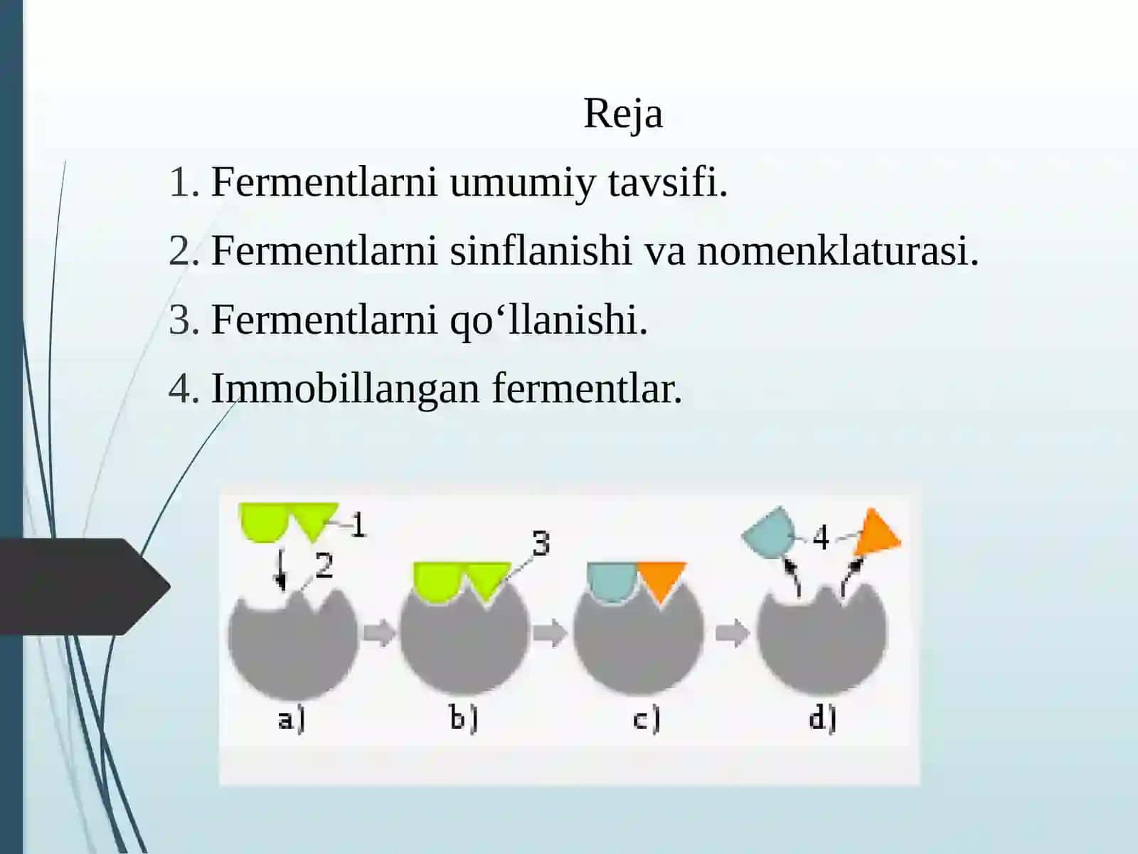 Oziq-ovqat sanoatida fermentlar va ularning texnologik axamiyati 2