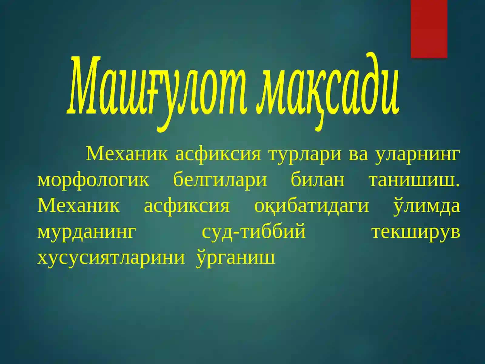 МЕХАНИК АСФИКСИЯ 2