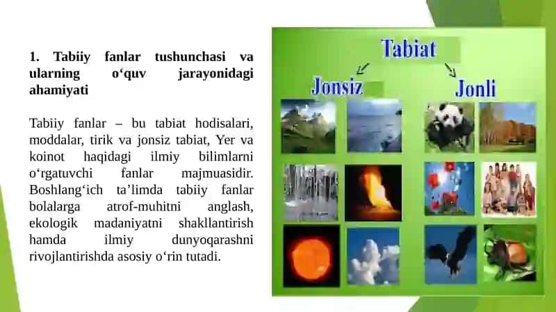 Boshlang‘ich ta'lim da tibbiy fanlarining shakllanishi va rivojlanishi tarixi 2