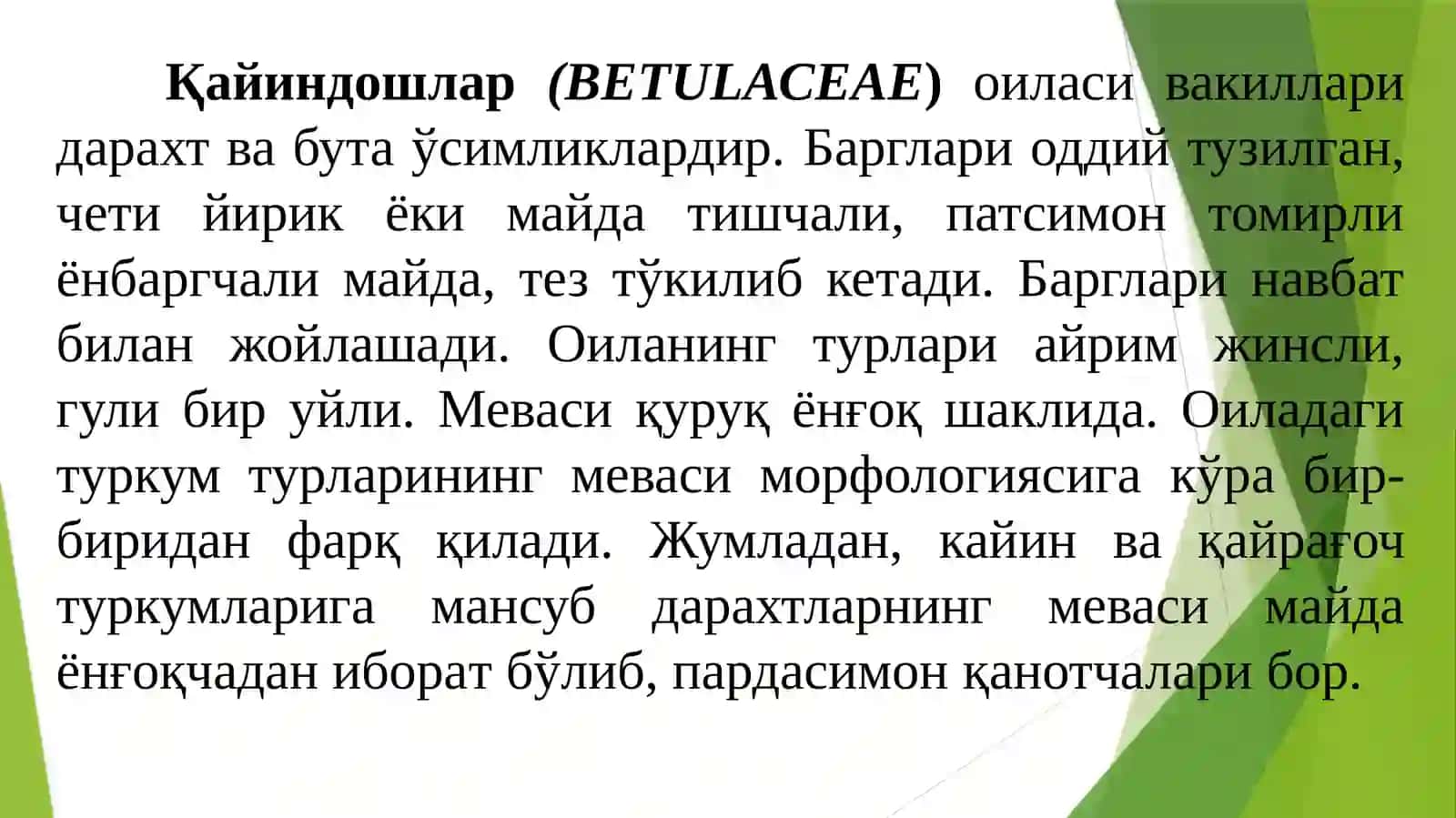 Қайиндошлар (ВЕТULАСЕАЕ) ОИЛАСИ 2