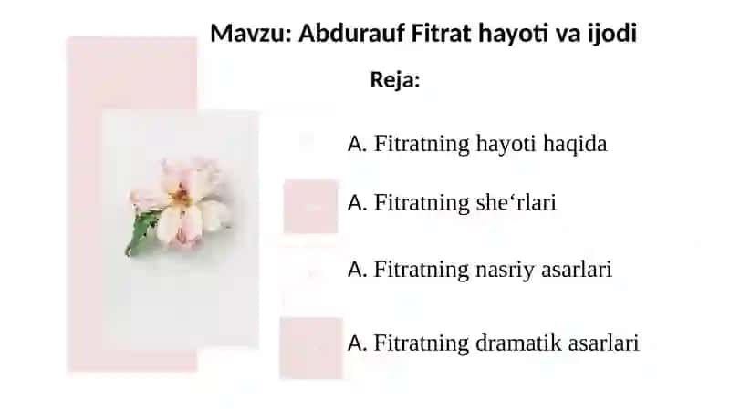 Abdurauf Fitrat Hayoti va ijodi 2