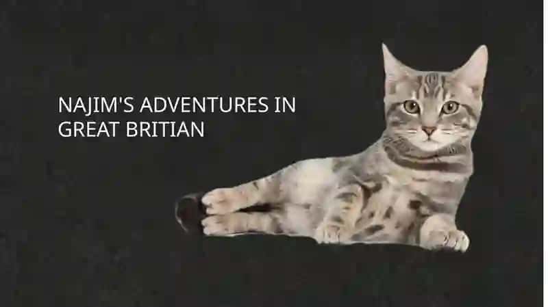 NAJIM'S ADVENTURES IN GREAT BRITIAN 2