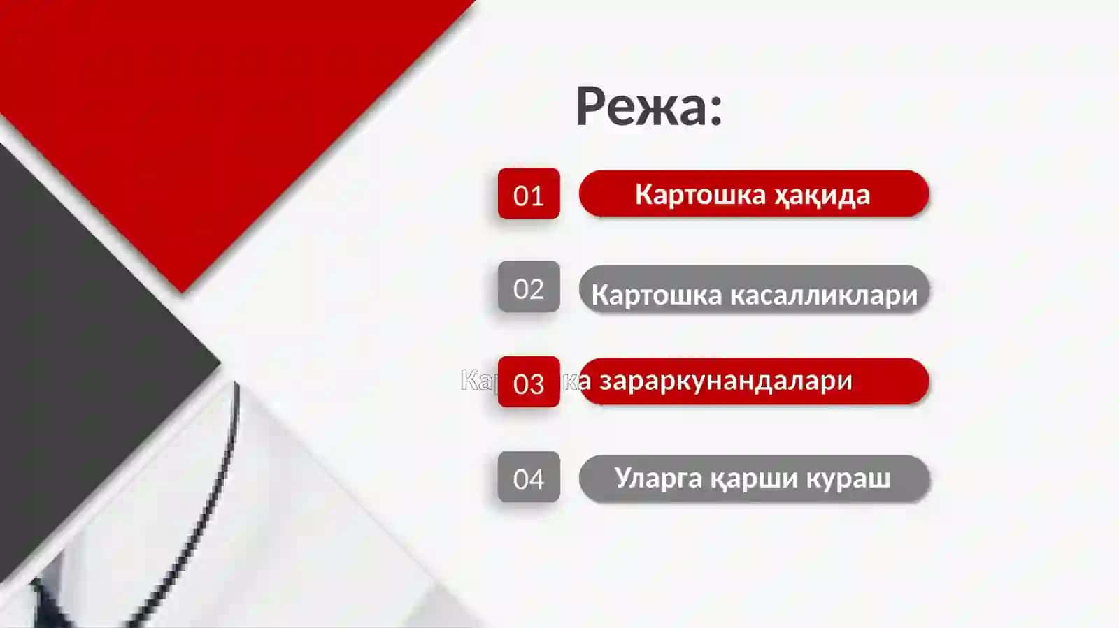 Картошка 2