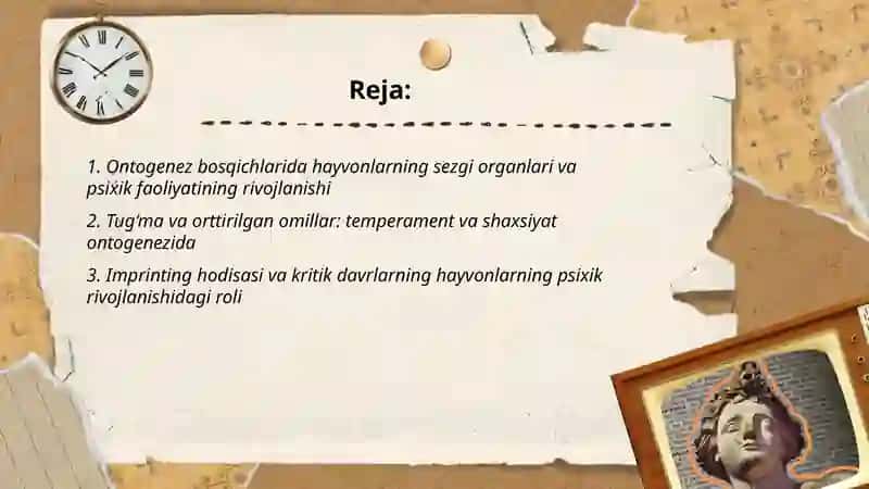 Hayvonlarning psoxok faoliyatini ontogrnrzda rivojlanishi 2
