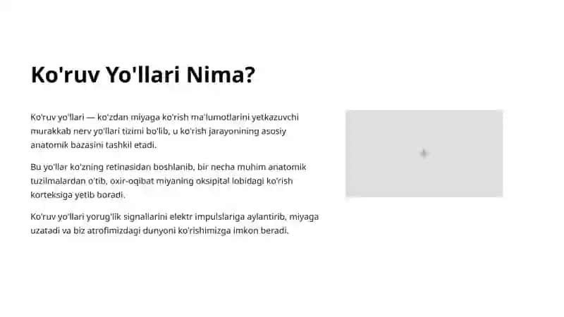 Ko'ruv Yo'llari Anatomiyasi: Tuzilishi va Funksiyalari 2