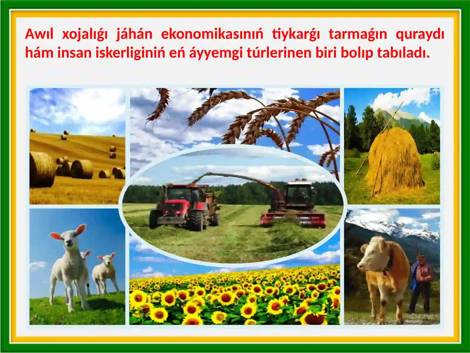 Dúnyanıń awılxojalıǵı geografiyası 2
