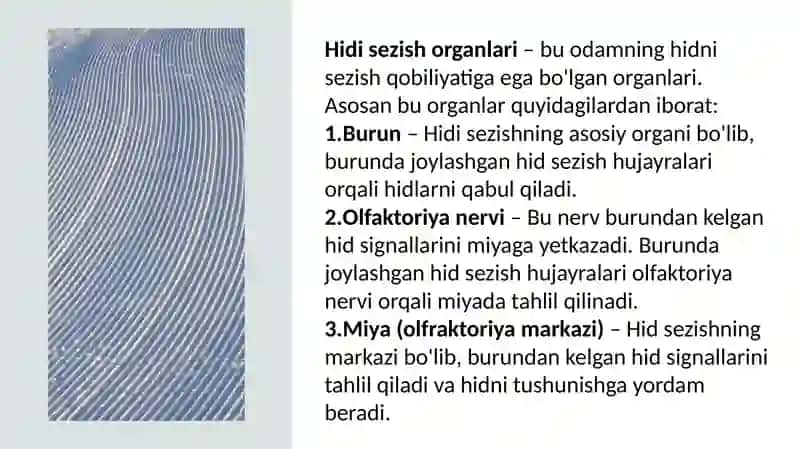 HID BILISH A’ZOLARI 2