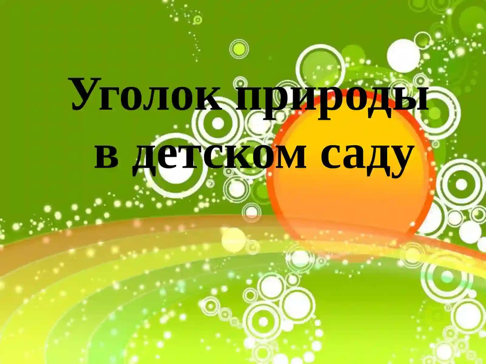 Мир вокруг нас!!! 2