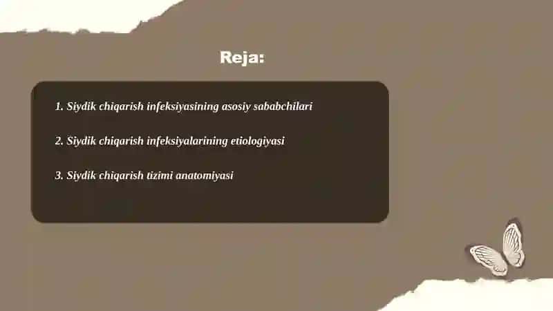 Siydik chiqarish infeksiyasi 2