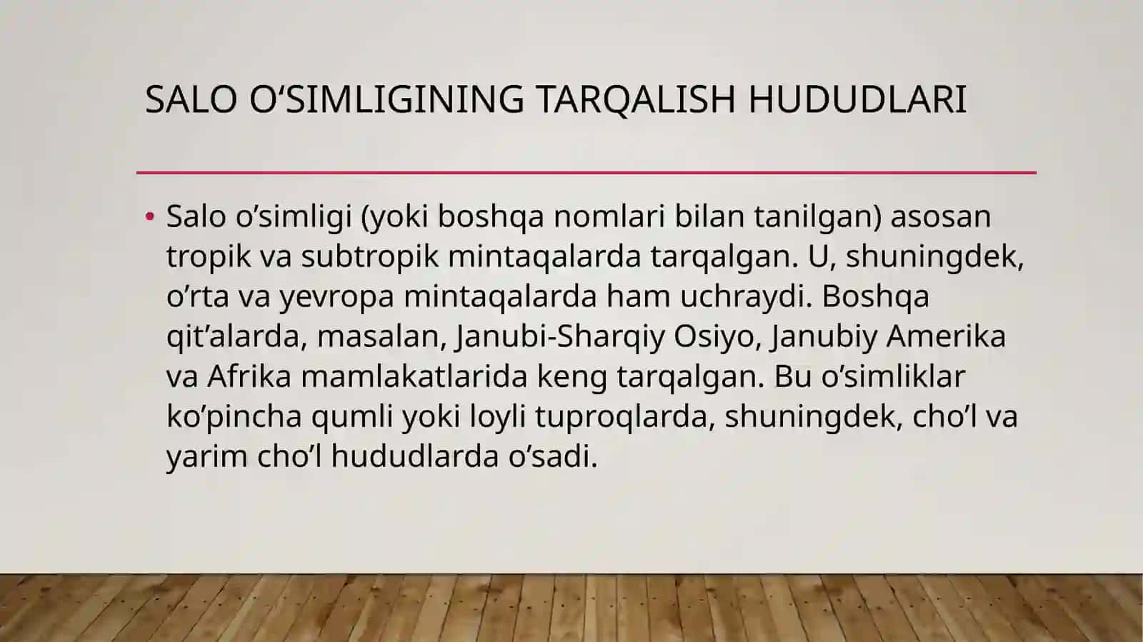 Salo Echinocactus yoki Ferocactus oʻsimligining dorivorlik xususiyatlari 2