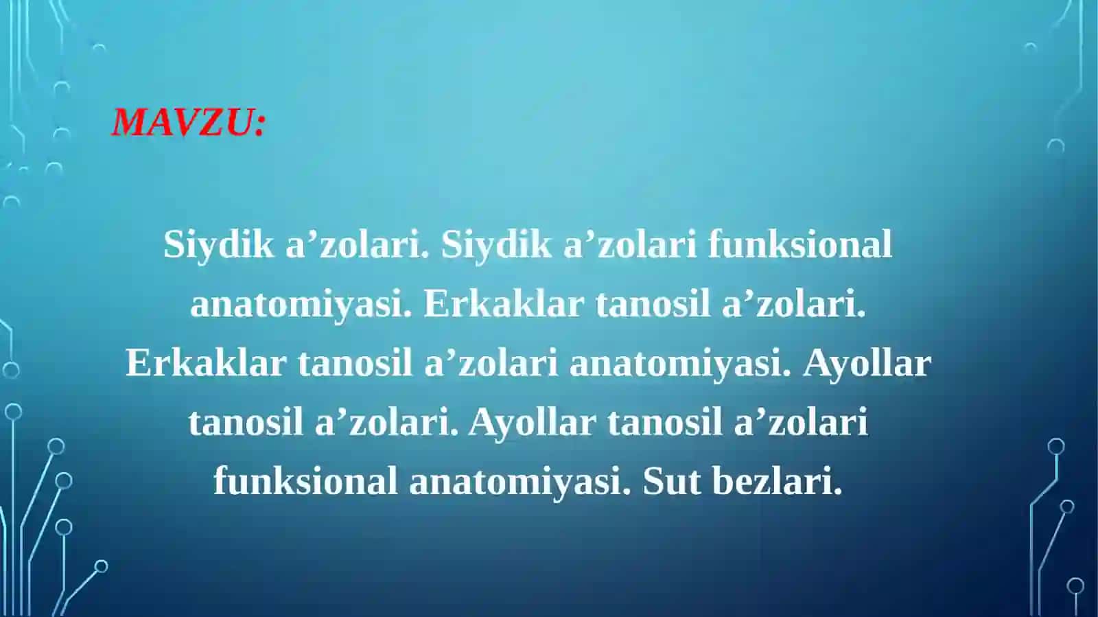 Siydik a’zolari. Siydik a’zolari funksional anatomiyasi 2