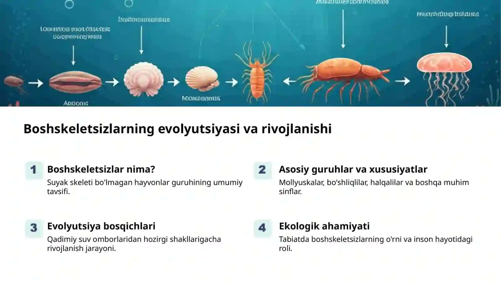 Boshskeletsizlarning tuzilishi va tasnifi 2
