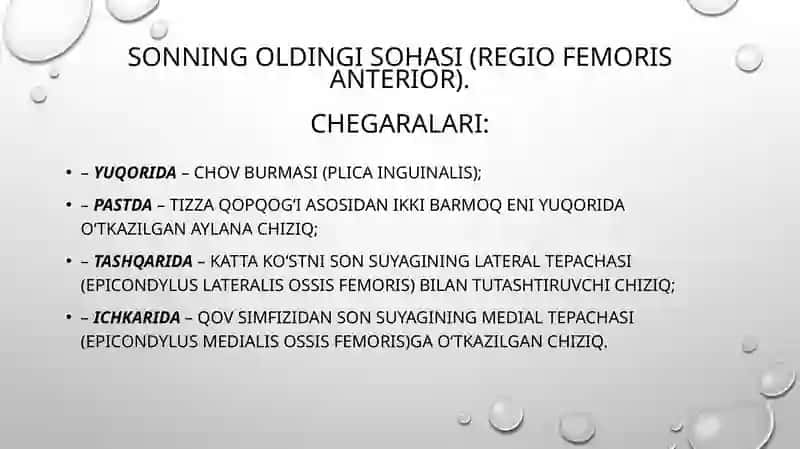 Odam anatomiyasi, oxtakafedrasi 2