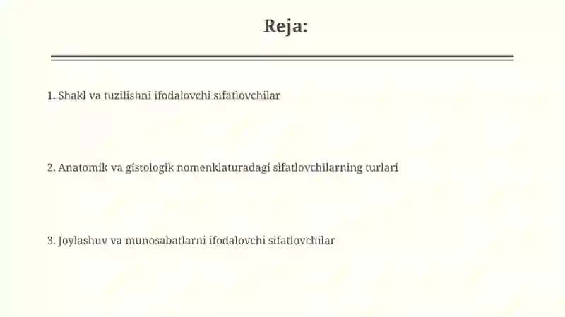 Anatomik va gistologik nomenklaturalarda qoʻllaniladigan sifatdoshlar 2
