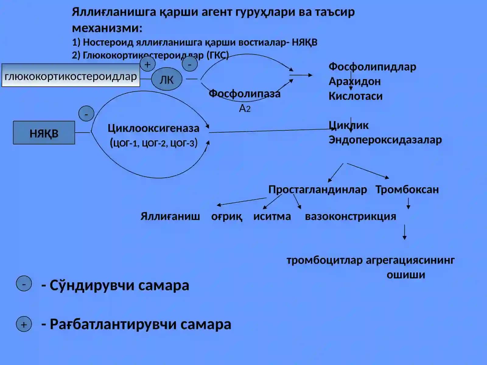 Яллиғланишга қарши воситалар 2