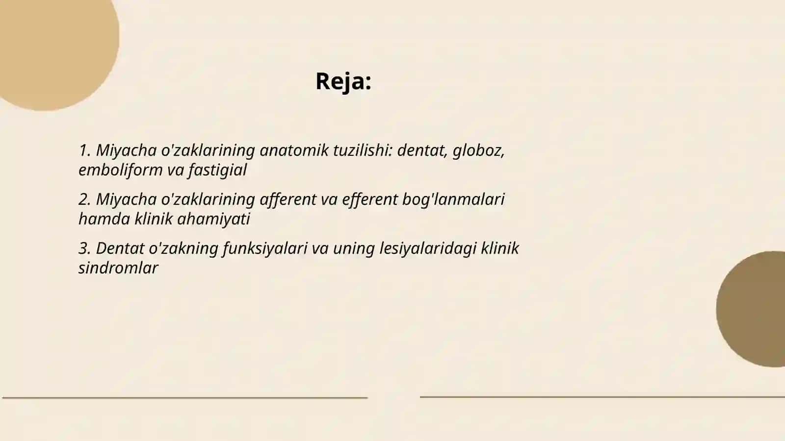 Miyacha o'zaklarining anatomik tuzilishi 2