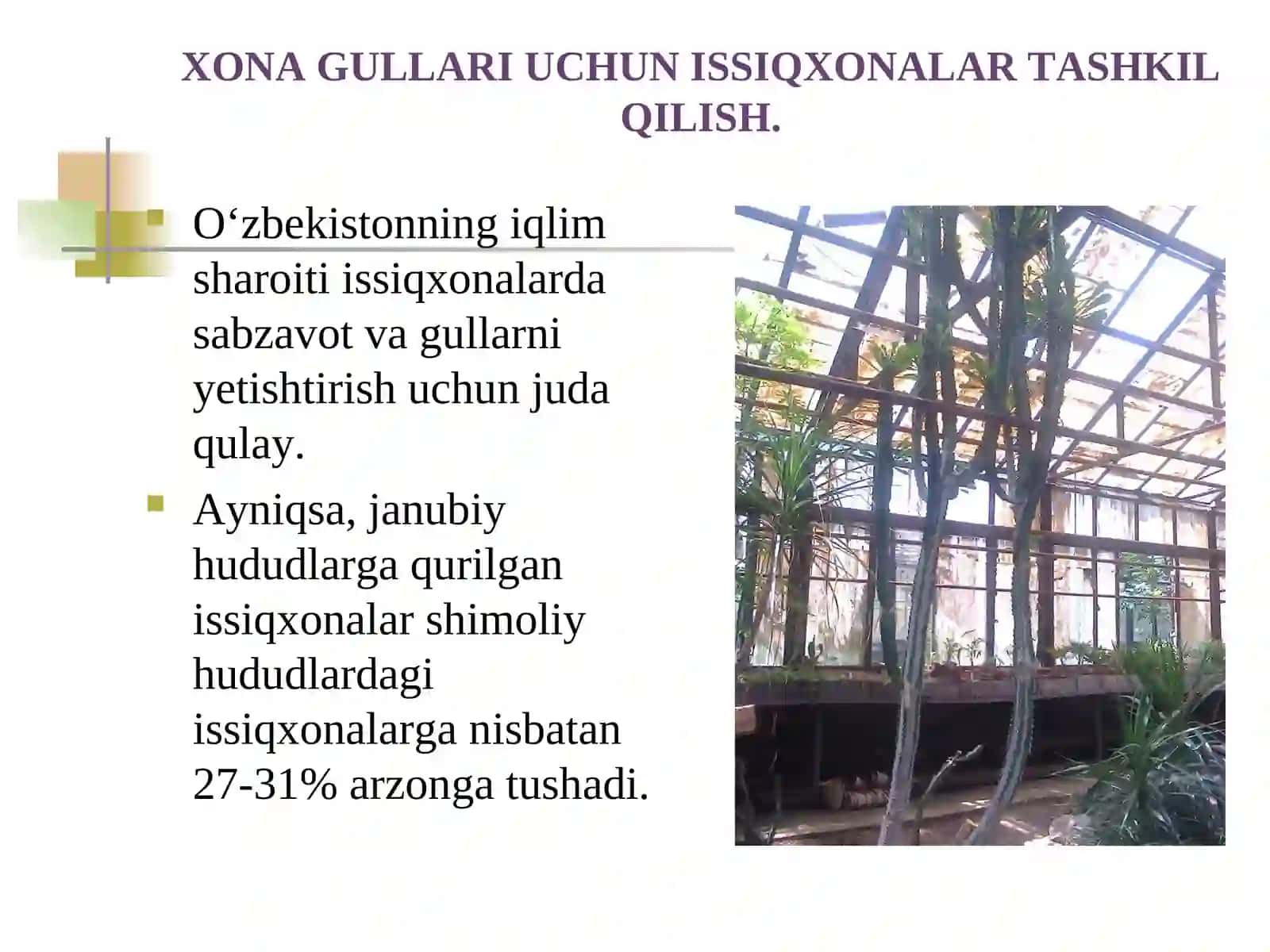 Xitoy atirguli, pelorgoniya, begoniya, koleus gullarini koʻpaytirish usullari va parvarishi 2