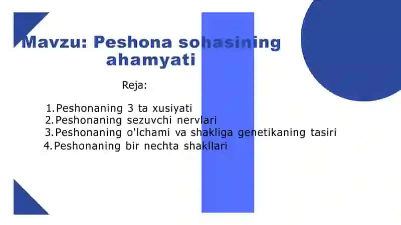 Peshona sohasining​ ahamyati 2