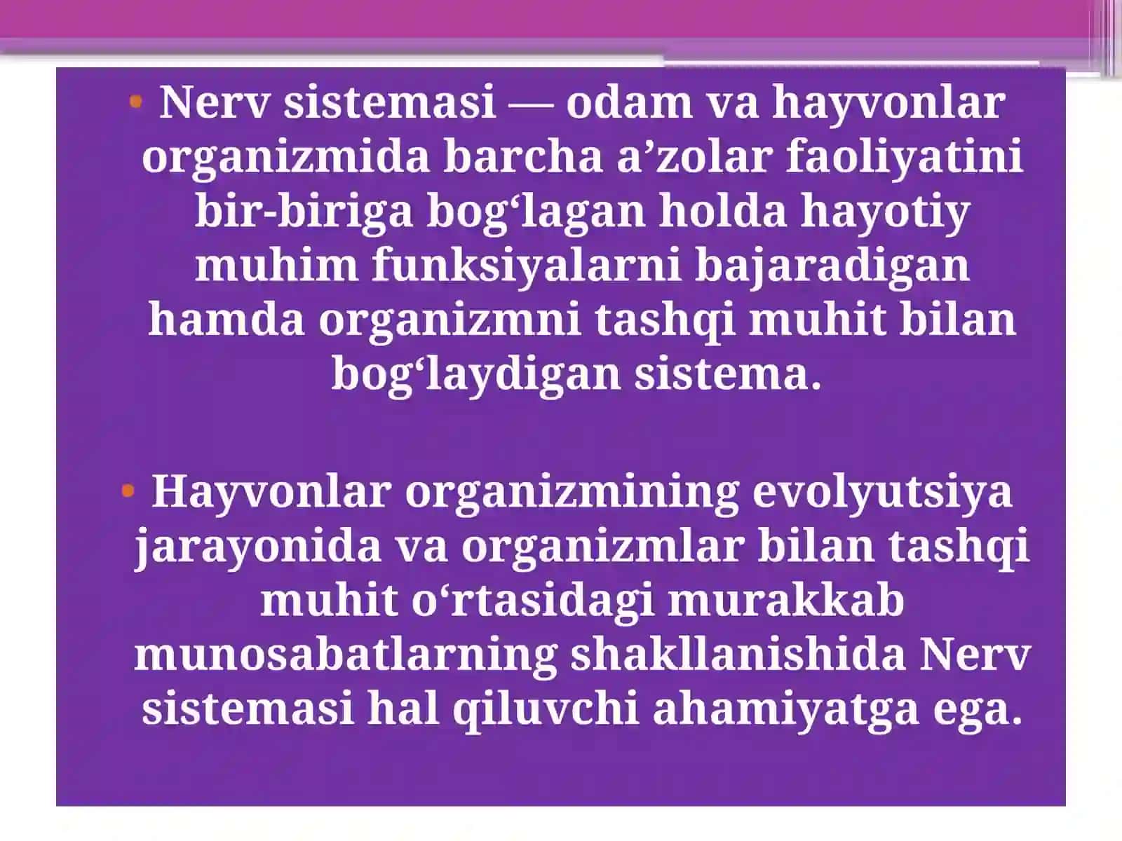 Nervsistemasi 2